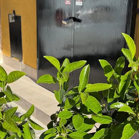 Apartment Liuccia