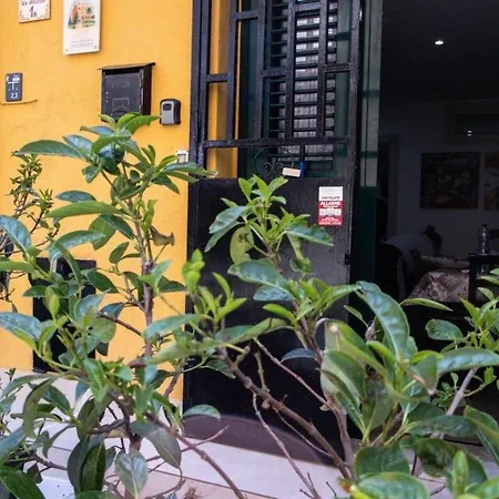 Liuccia Apartment Palermo